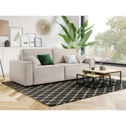 Canapé Droit MIRA Convertible Velours Grège 14 Canapé Droit MIRA Convertible Velours Grège -Meuble Déco Soldes canape droit mira convertible velours grege 3 places 6