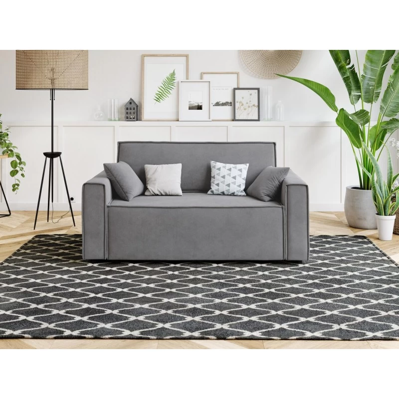 Canapé Droit MIRA Fixe Tissu Gris Souris 2 Places 1 Canapé Droit MIRA Fixe Tissu Gris Souris 2 Places